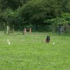 obeissance 2014-08-02